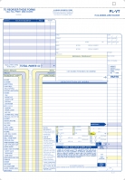 Vertical Plumbing Repair Order